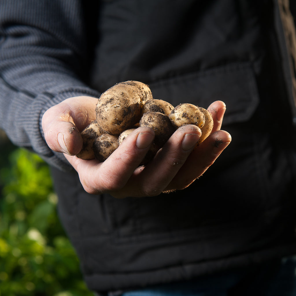 Thank a Farmer - Old or Young