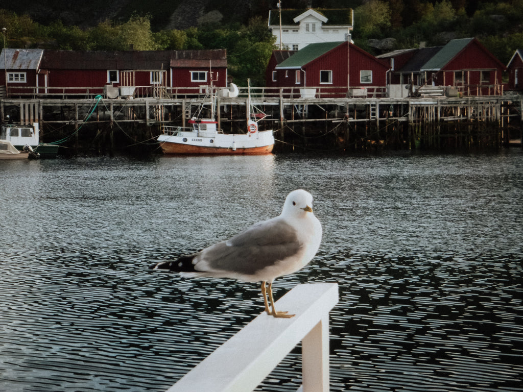 Continued Happiness (or should we all retire to Norway)?