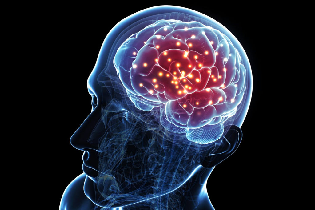With a Stoke, Time = Brain Survival