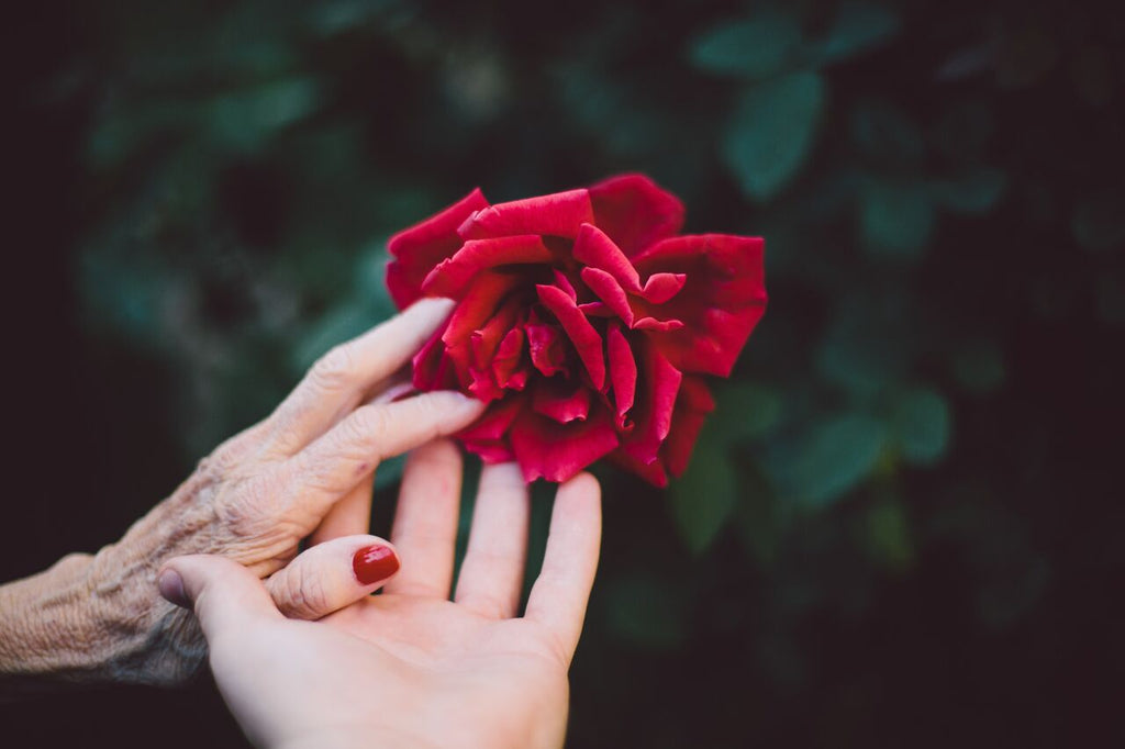 The Soothing Power of Touch