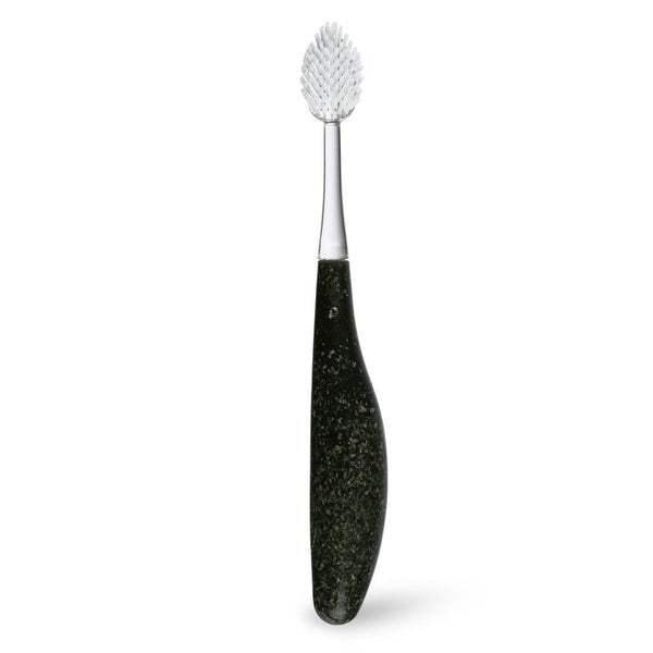 Toothbrush The Source