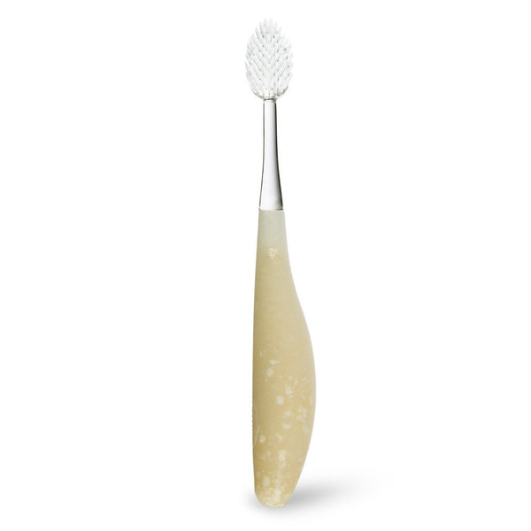 Toothbrush The Source