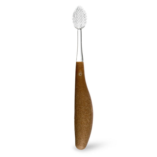 Toothbrush The Source