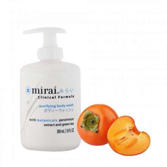 Health, Personal Care - Purifying Body & Deodorizing Body Wash 10 Oz.